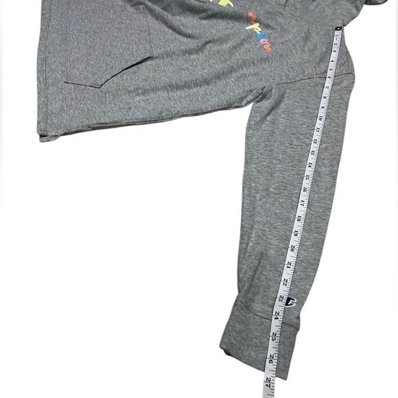 Champion Light Gray Hoodie with Colorful Logo Size Small - Picture 13 of 16